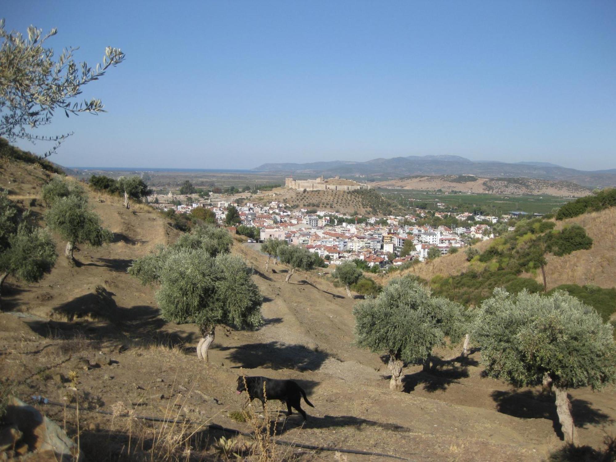 Villa Manzara Σελτσούκ Εξωτερικό φωτογραφία